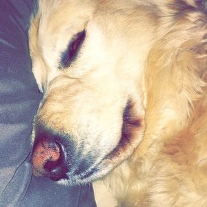 Meet your Posher, Lindsey